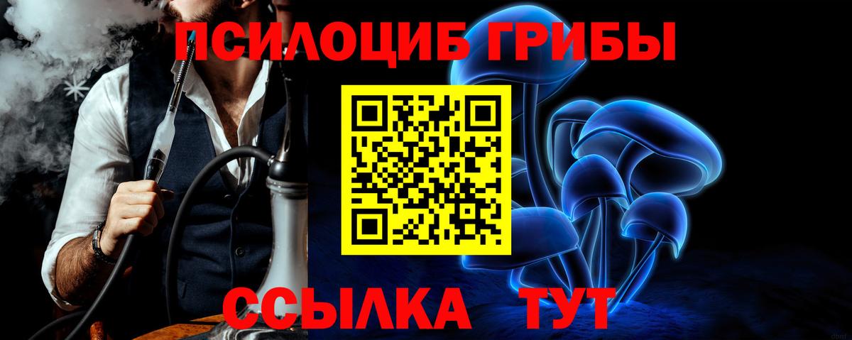 Псилоцибиновые грибы Magic Shrooms  Галлюциногенные грибы мицелий  Вход с VPN  Чебоксары 